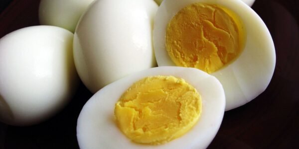 Egg Large